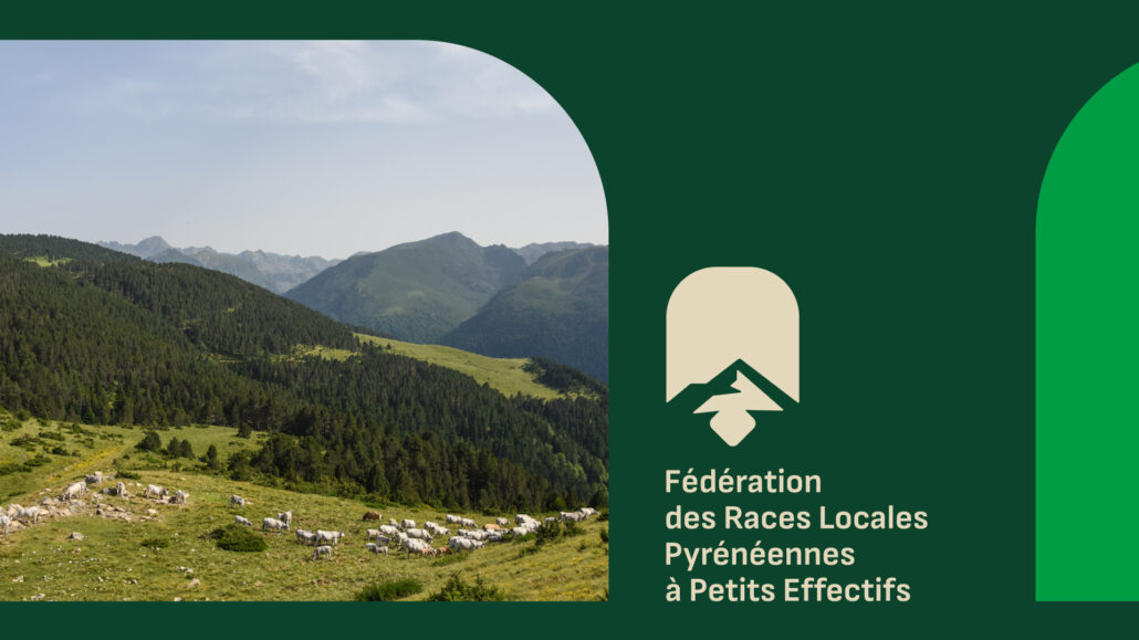 showreel-FedeRaces-4