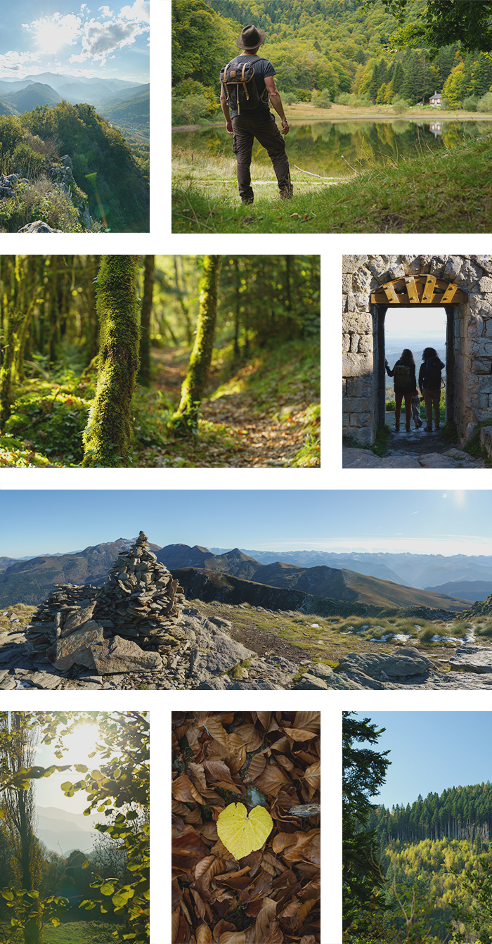 montagePhotoMontsegur